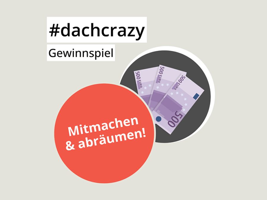 dachcrazy Keyvisual
