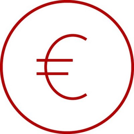 Icon with € symbol, Euro, money, coin, e4