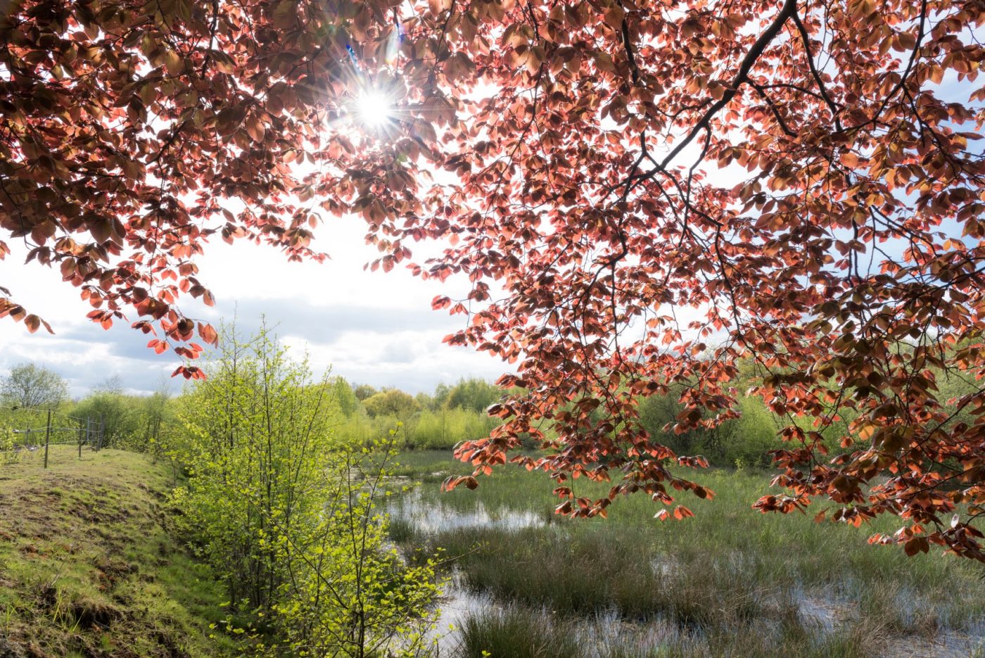 Slideshow together sustainable 3