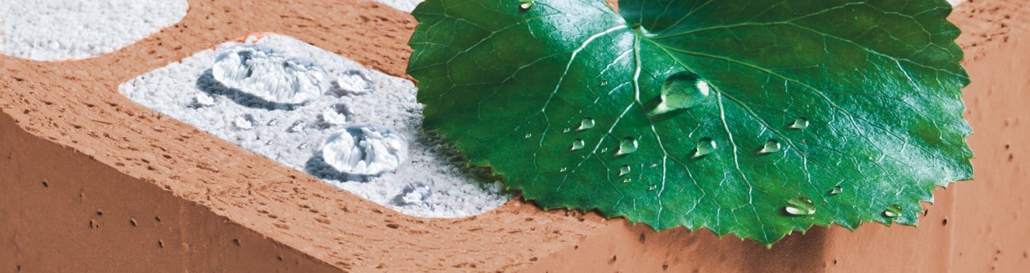 Perlit filled Poroton with leaf and rain drops
