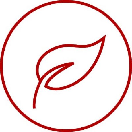 Icon with leaf for nature, sustainability, environment, e4