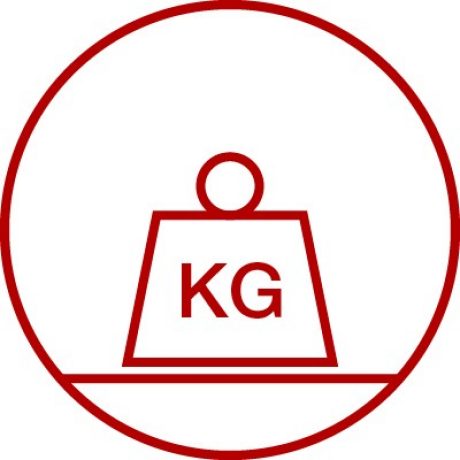 Icon for weight resistance, durability