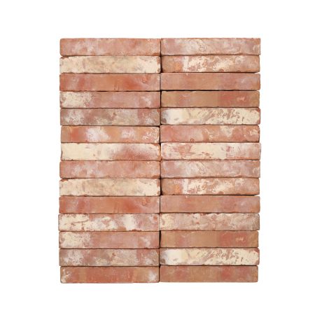 Eco-brick Paria