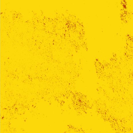 Produktbild: Calceo yellow, Productshot: yellow