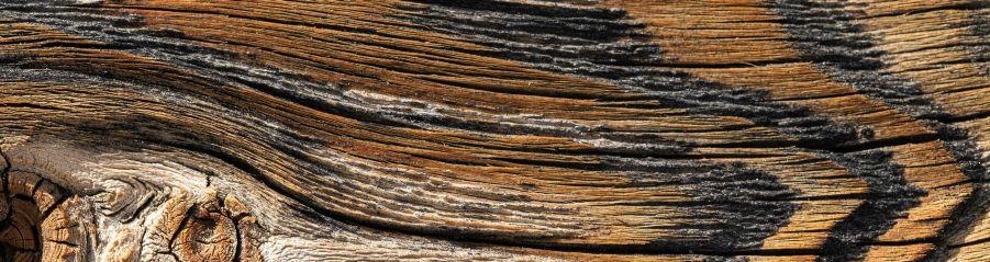 Argeton Inspirio Digital Engobing