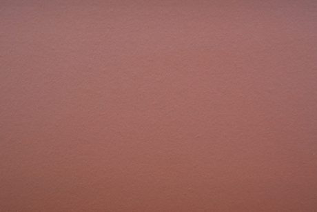 Rotbunt glatt, Autumn Red smooth