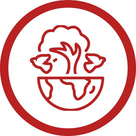 Biodiversität Piktogramm