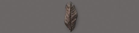 Terca Riemchen Blatt