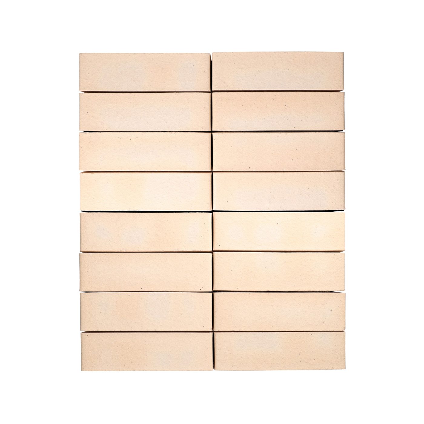 Eco-brick Rani