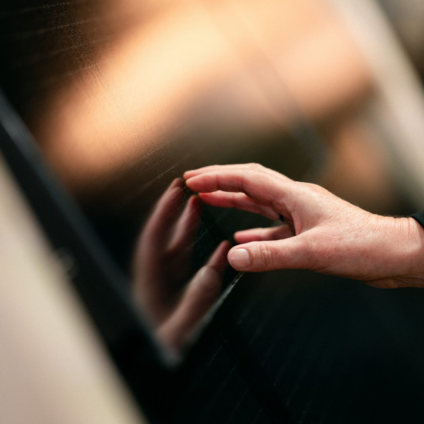 Wevolt Enphase Home Energy Management System