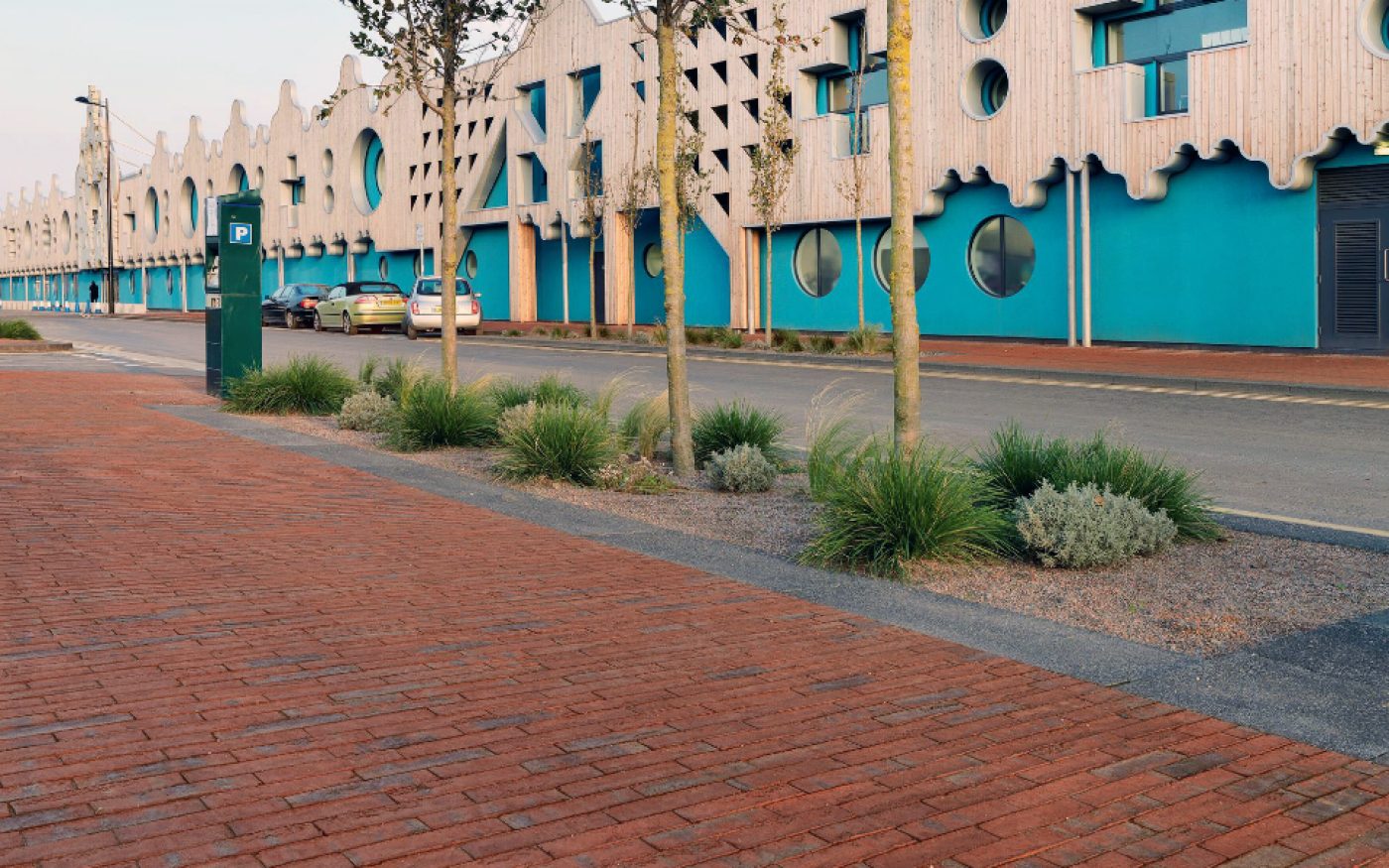 penter, pflasterstein, bürgersteig, baum