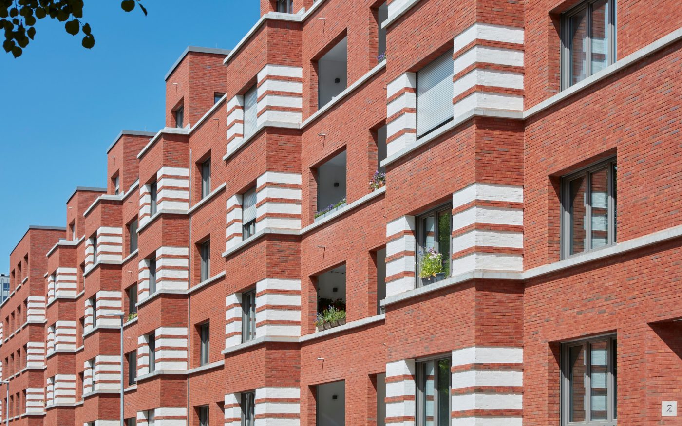 Terca Olina DF Hannover_Adolfstraße