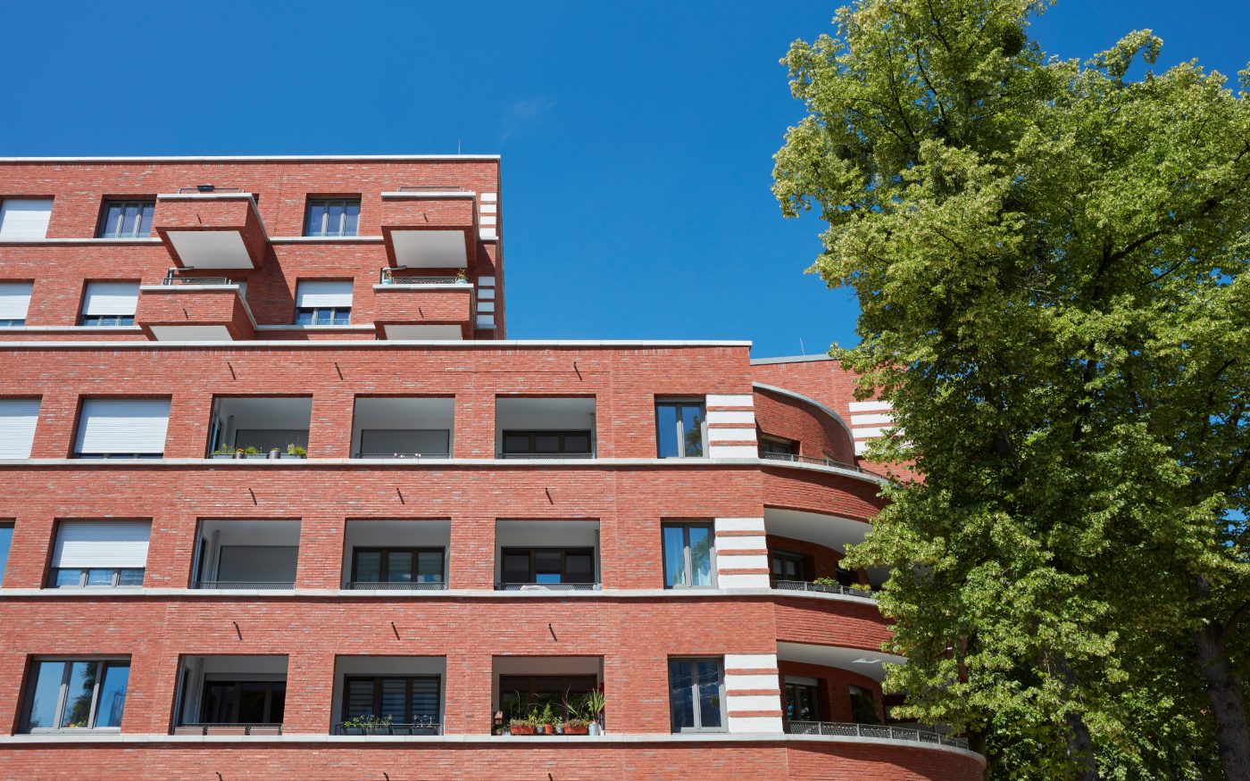 Terca Olina DF Hannover_Adolfstraße