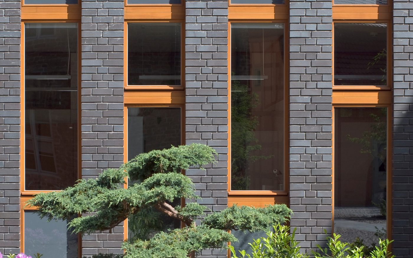 A building with flowers in front, you can see high windows and a section of a pavement, Dresden, anthrazitbraun nuanciert, glatt