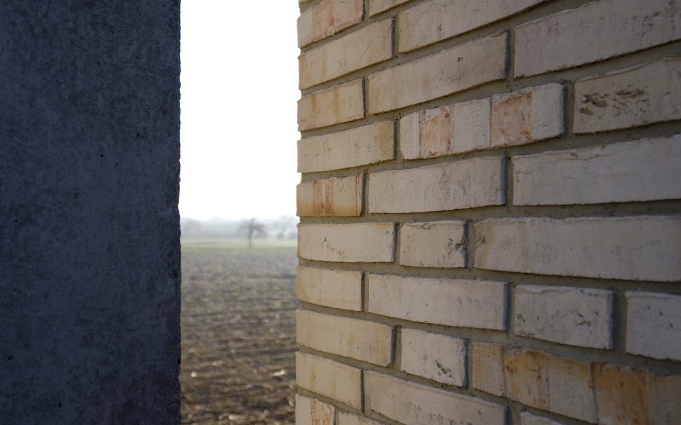 product: Terca-Wasserstrichziegel Tallinn tabac beige