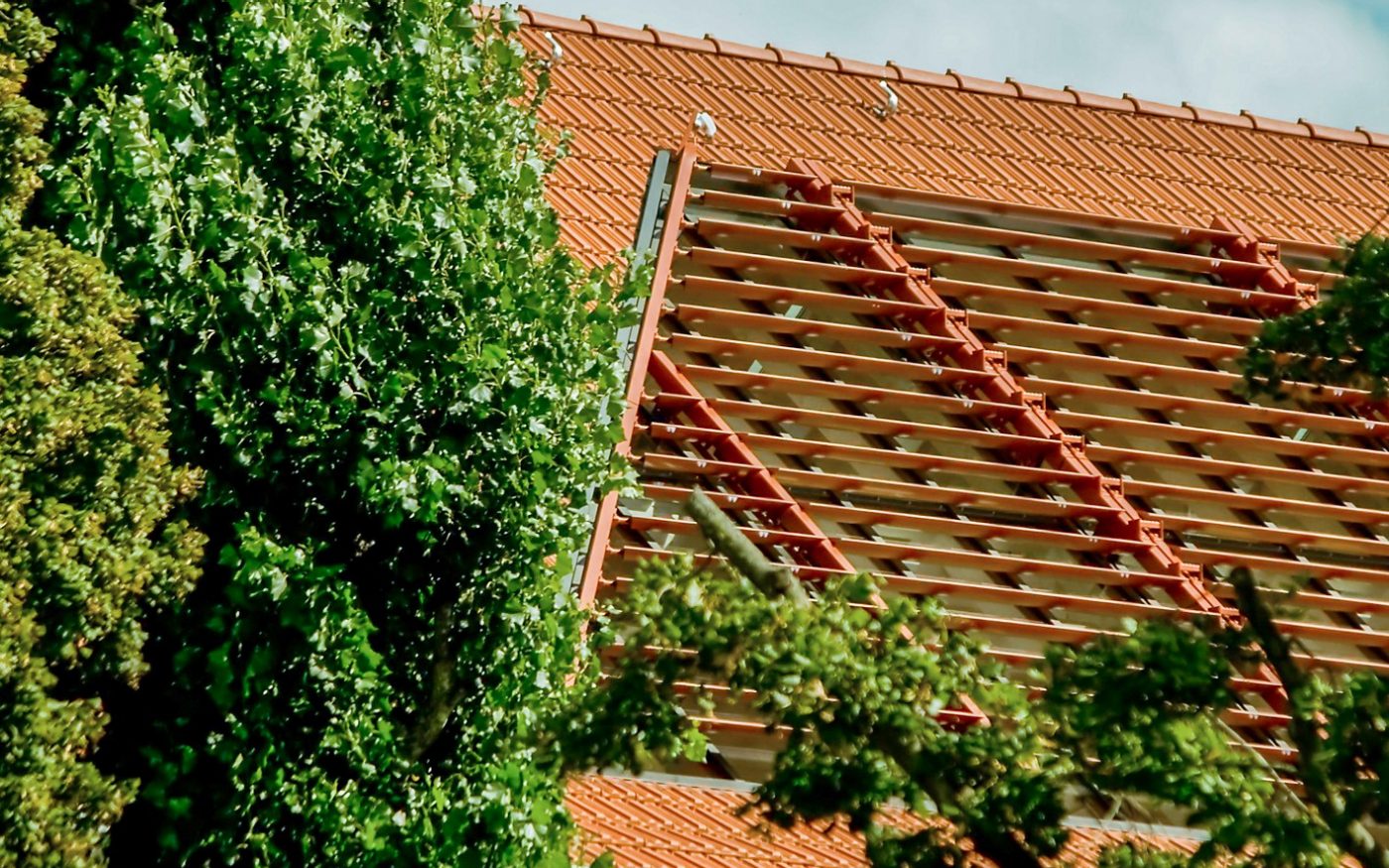 Finished house, in the foreground are trees, Kormamic Tradi 15, natural red