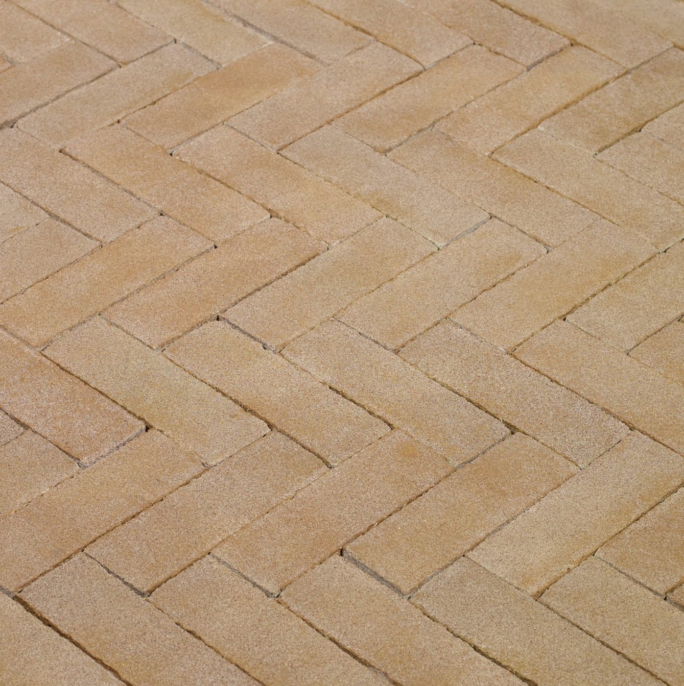 Productshot of the Siena DF Kijfwaard West