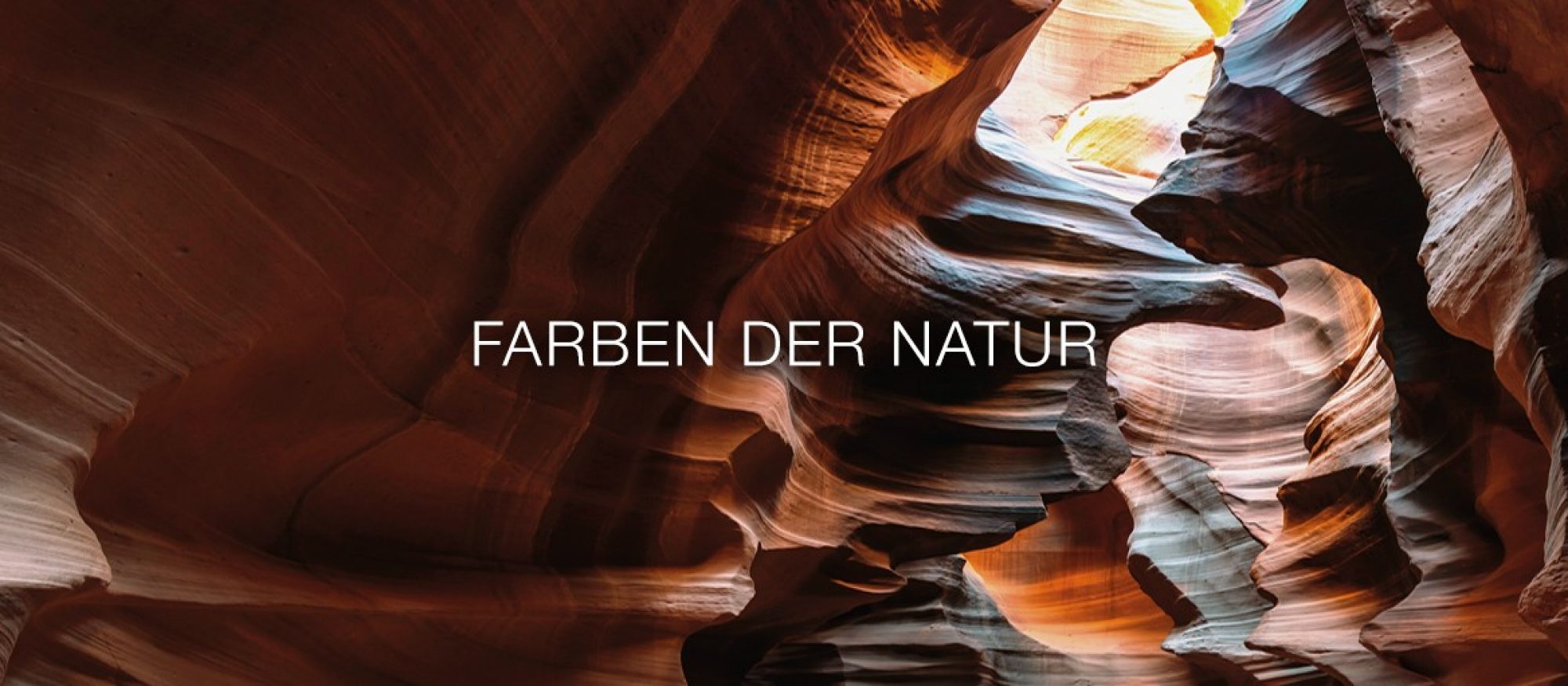 Symbiose zwischen Architektur und Natur: Die neue Terca ...
