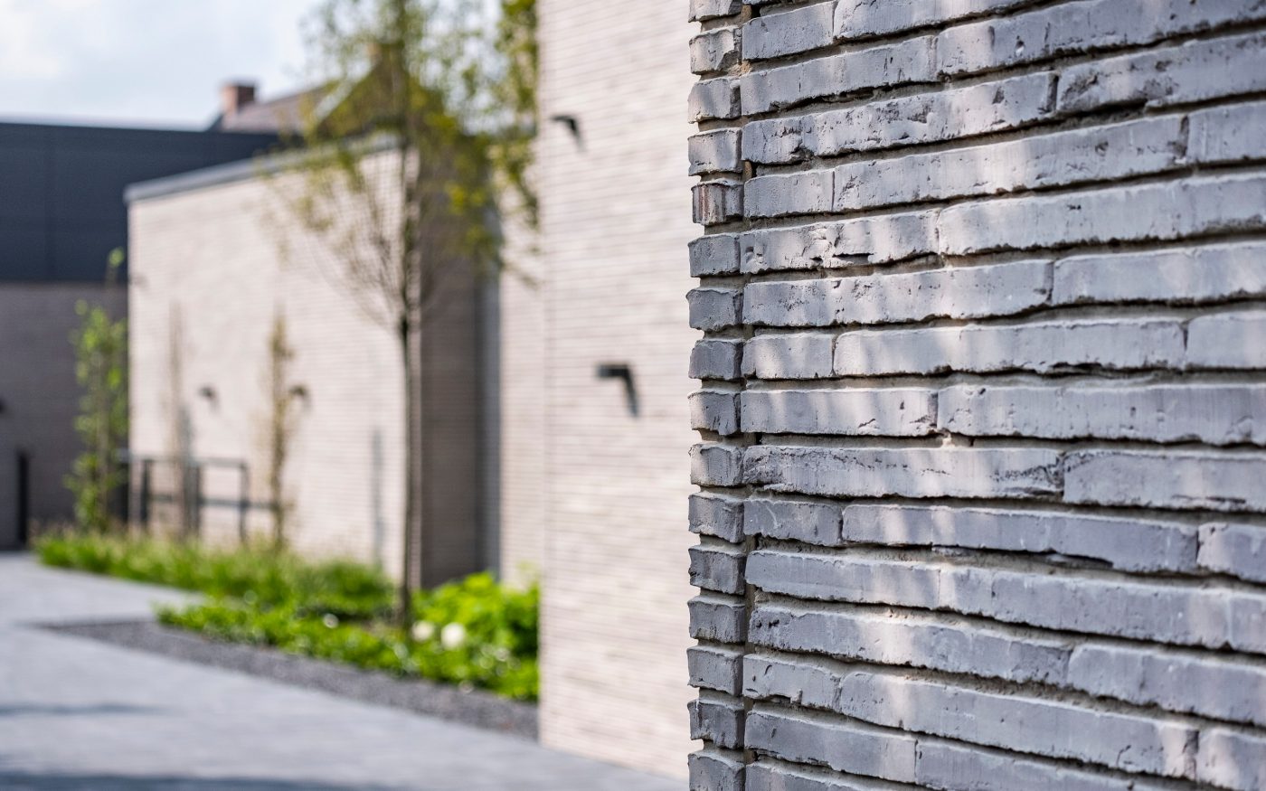 Single Family House, Terca  Polaris, Penter Eros getrommelt, Poroton Plan-T-18, mit Poolhaus