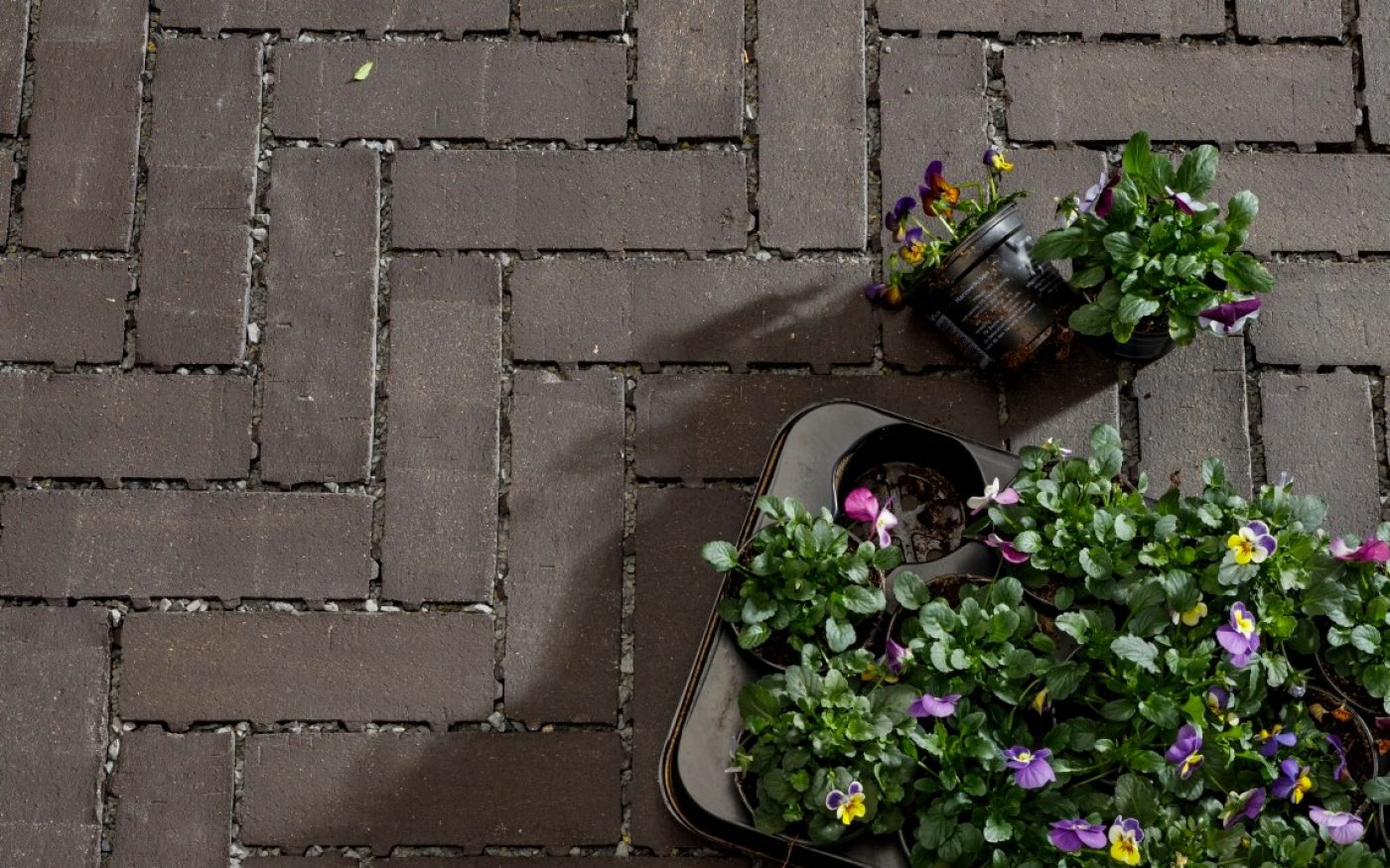 Penter Aquata Eros pavers