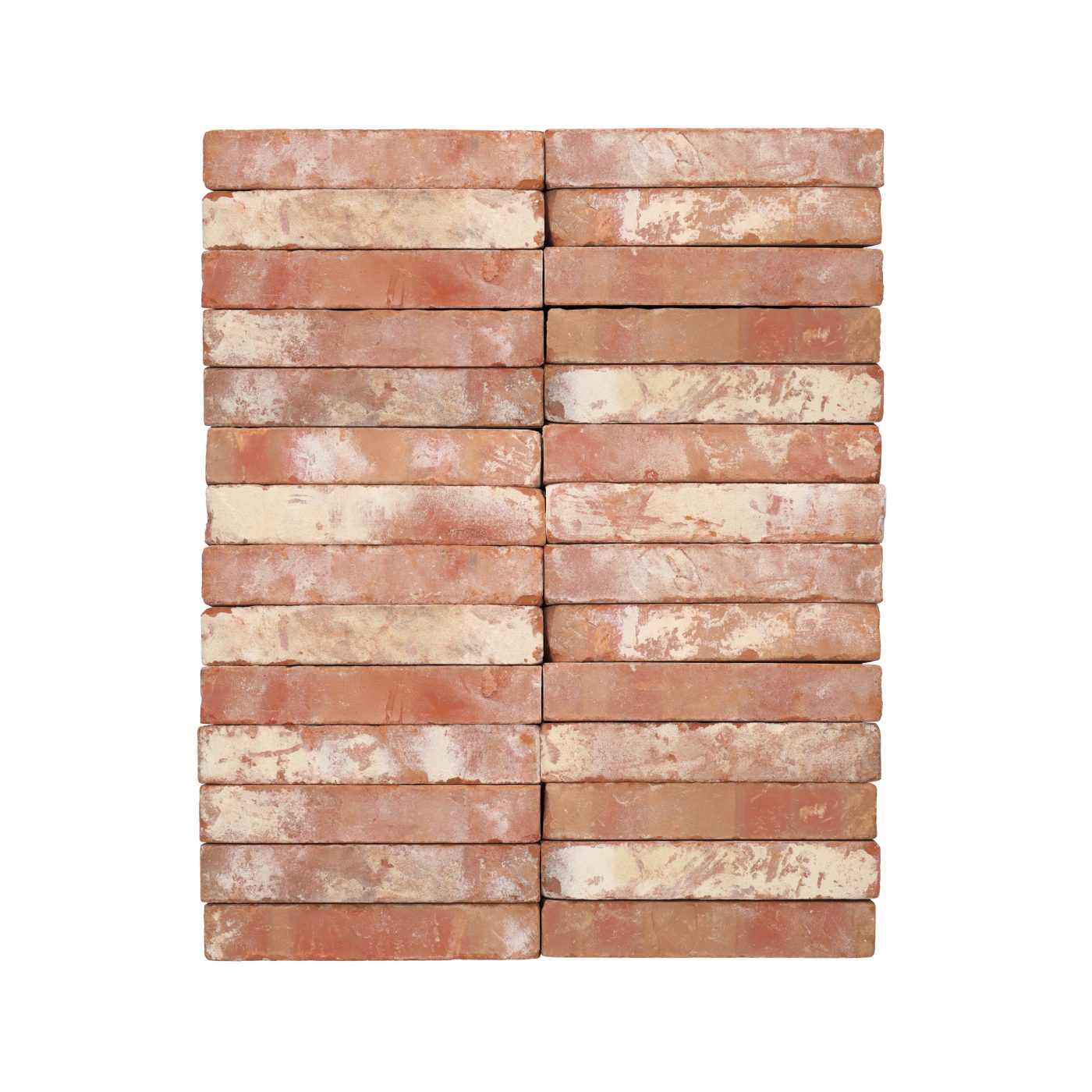 Eco-brick Paria