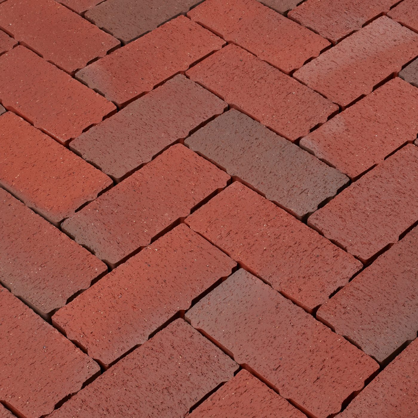 Penter Aquata Artemis