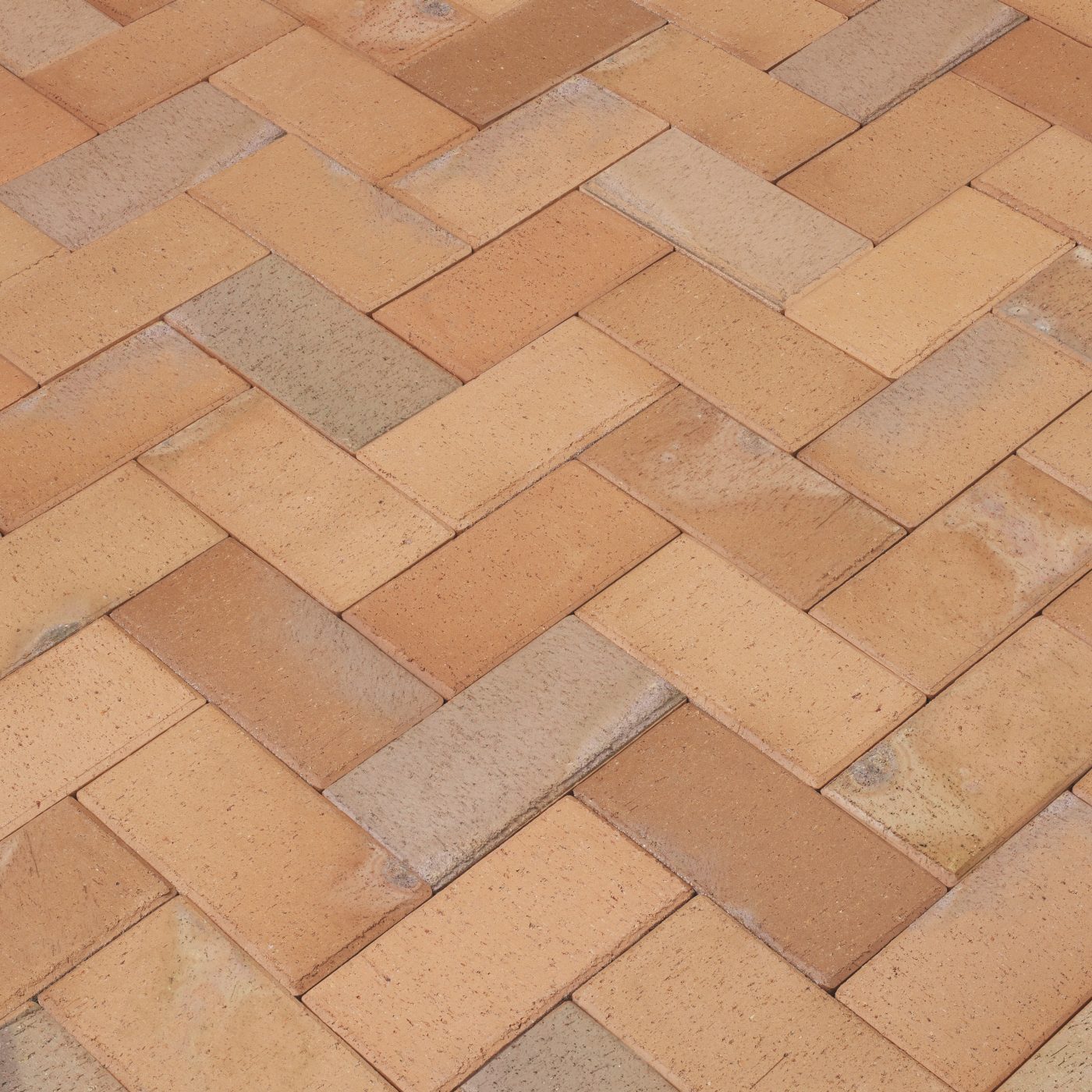 Husum Gelbbunt Kohlebrand