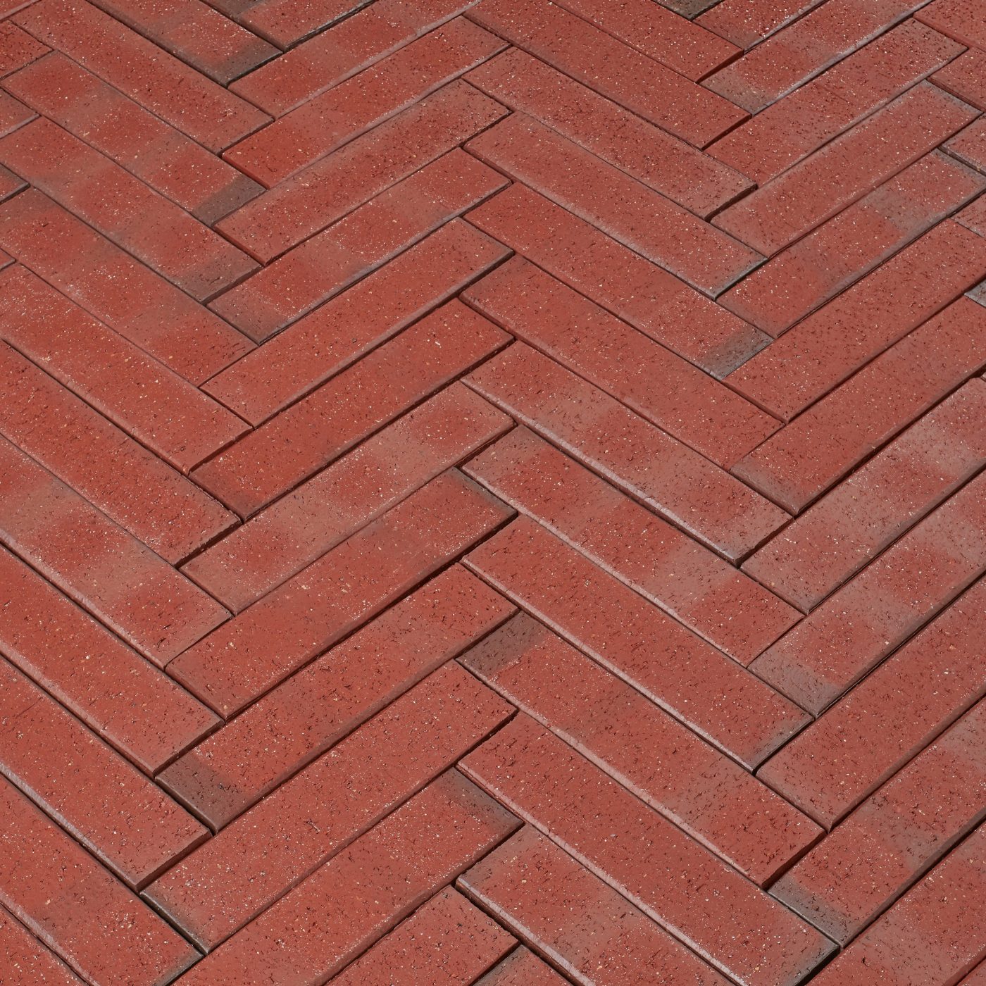 Penter Riegel Rotblaubunt