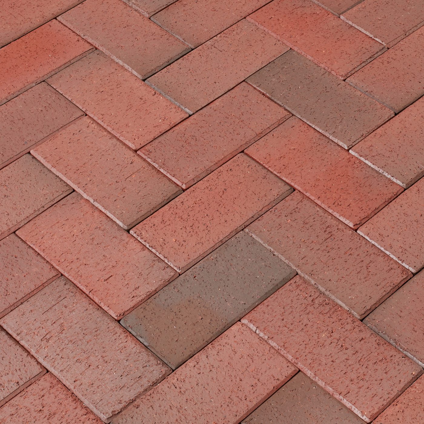 Penter Oberflächentextur des Rotblaubunt