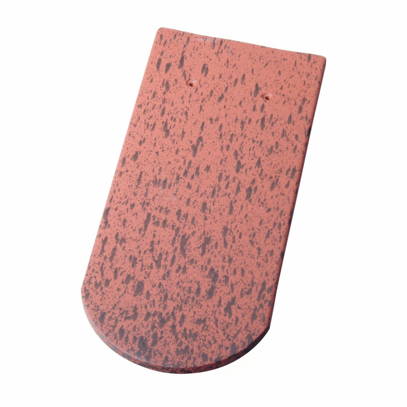 Packshot Biberschwanzziegel E in Fleckton