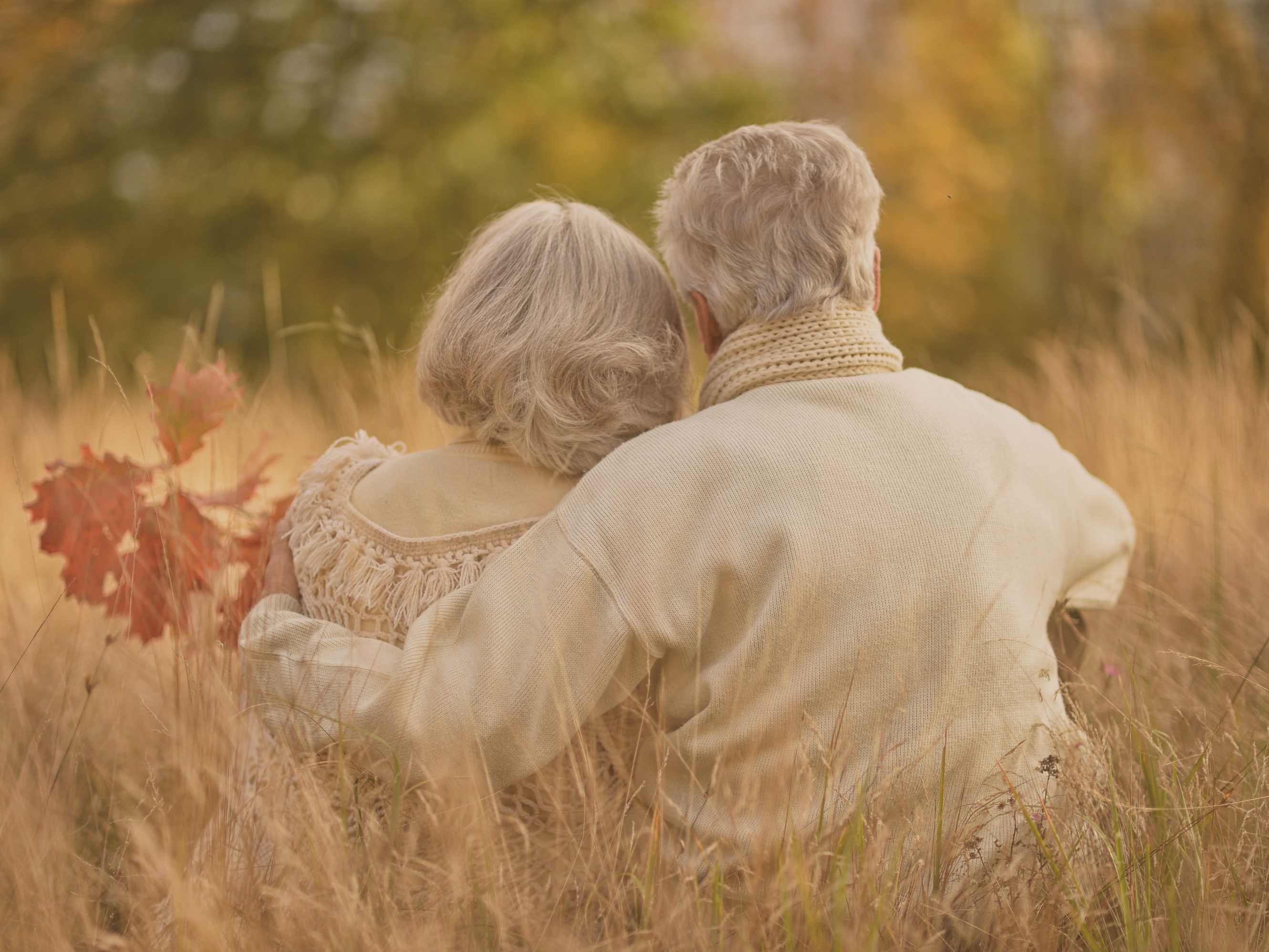 Why Clay Building Materials