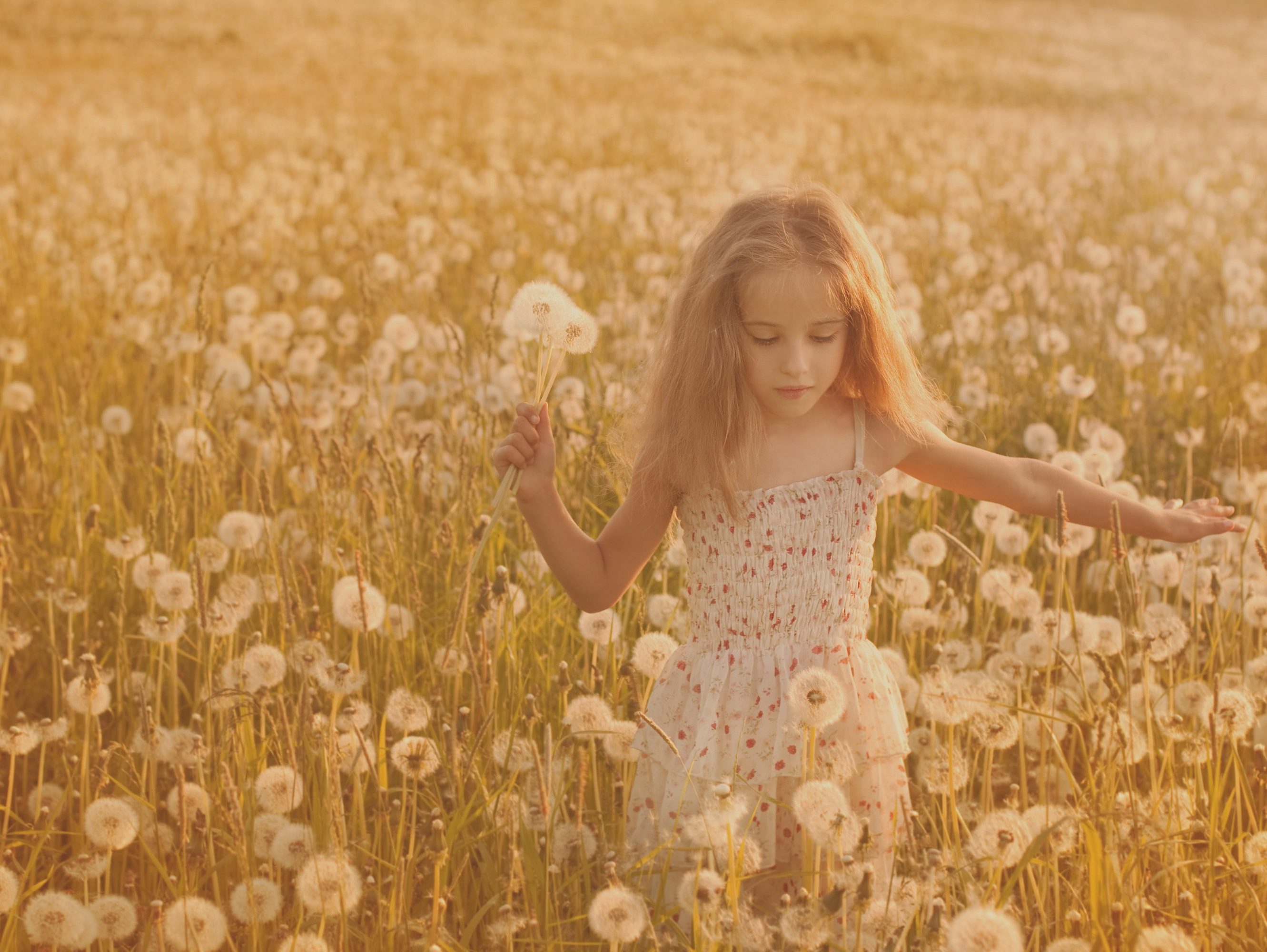 Why Clay Building Materials